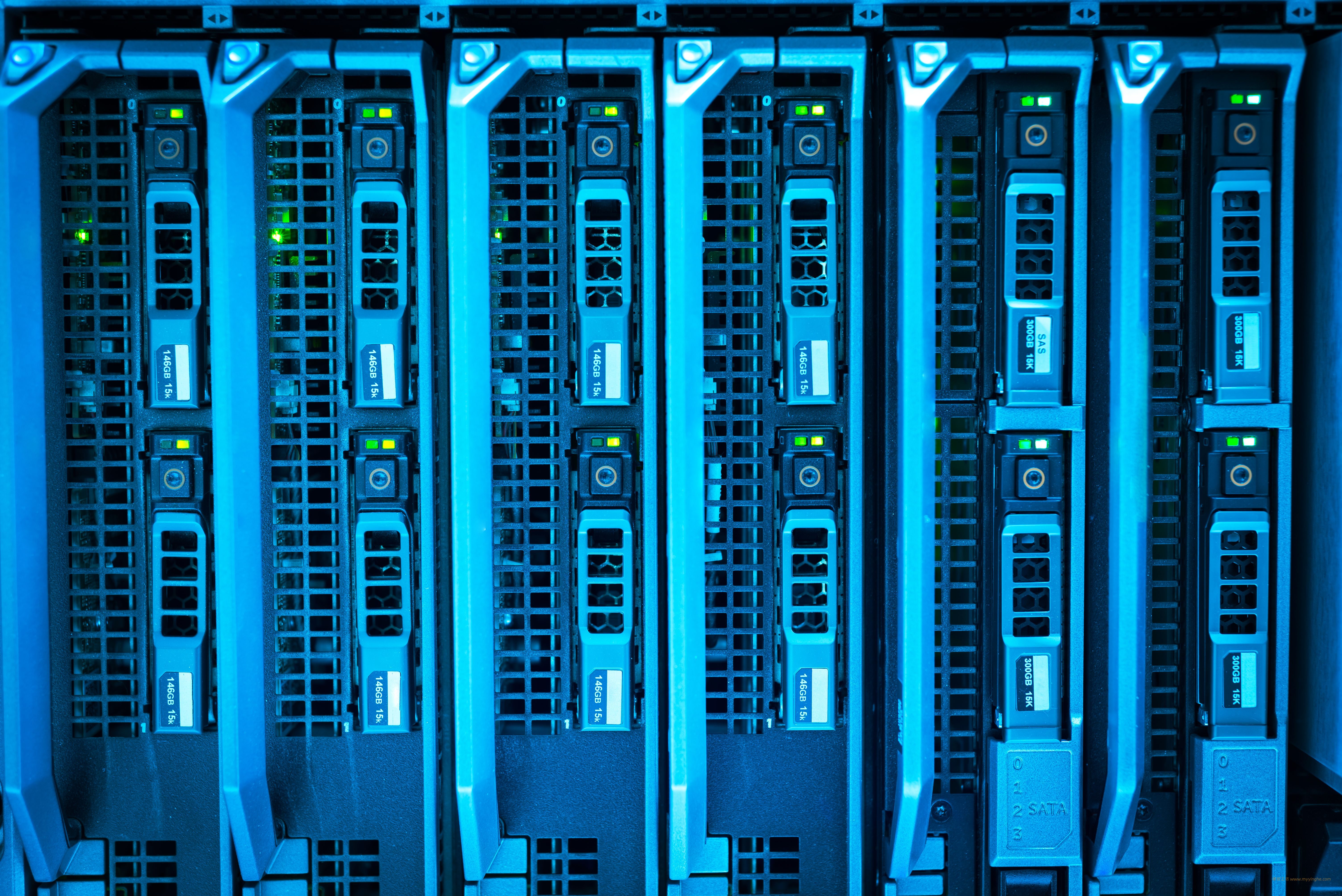 在 NAS 上跑 Docker：几个实用的自托管小服务
