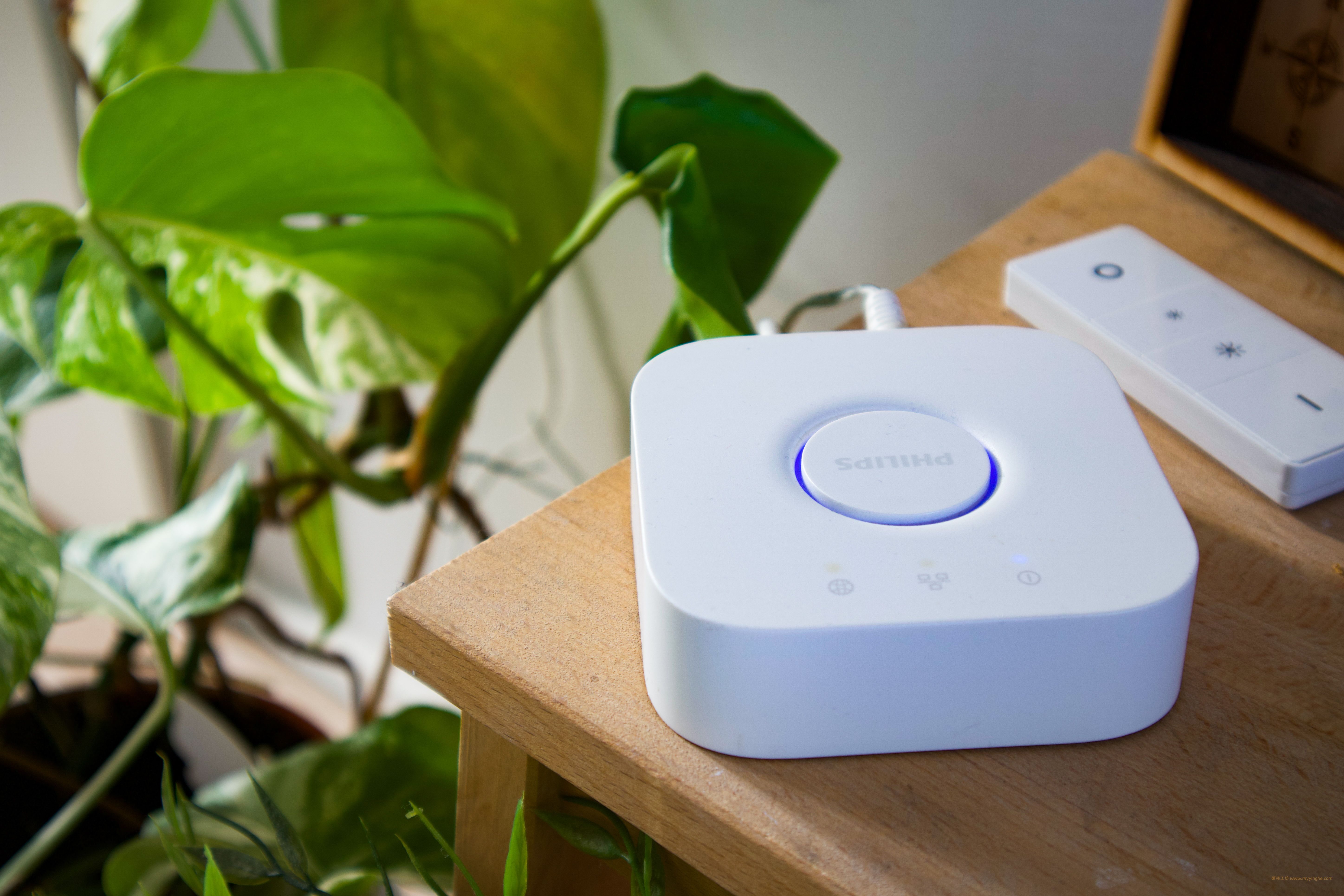 网关与协议:Zigbee、蓝牙 Mesh、Wi-Fi 到底差在哪