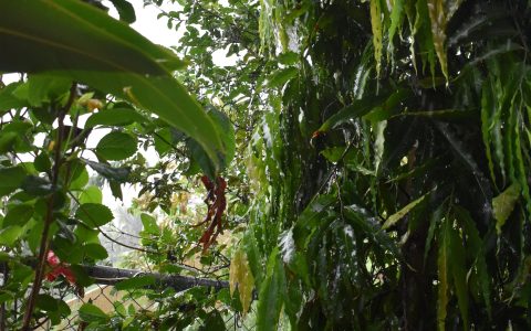 传感器是智能家居的灵魂：人体、门窗、温湿度怎么用